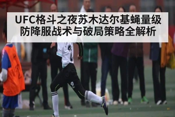 UFC格斗之夜苏木达尔基蝇量级防降服战术与破局策略全解析